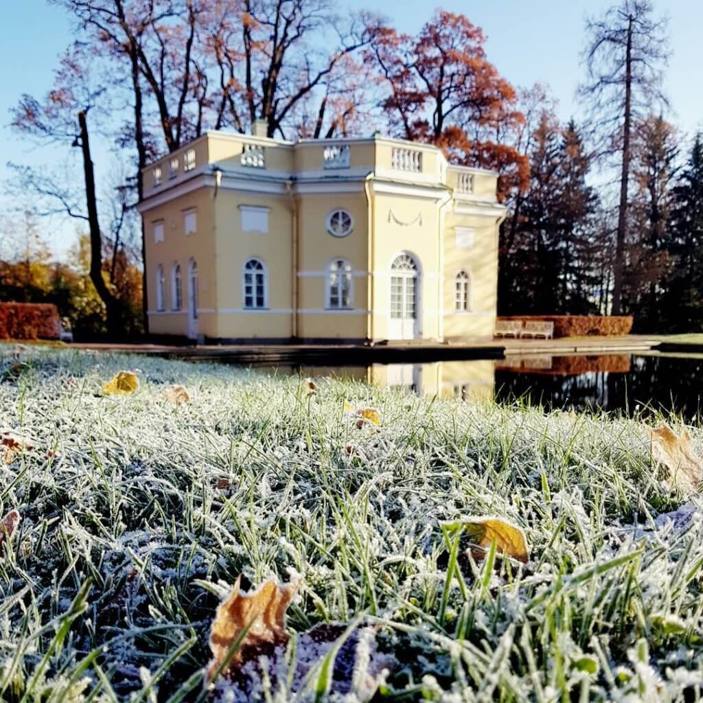 Frost on grass in Catherine's Palace Park