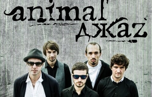 animaljazz
