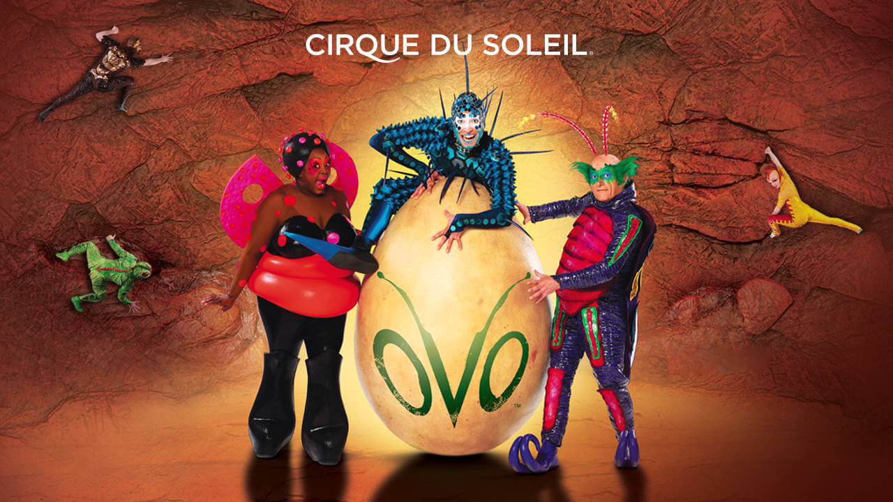 OVO Cirque Di Soleil in St. Petersburg